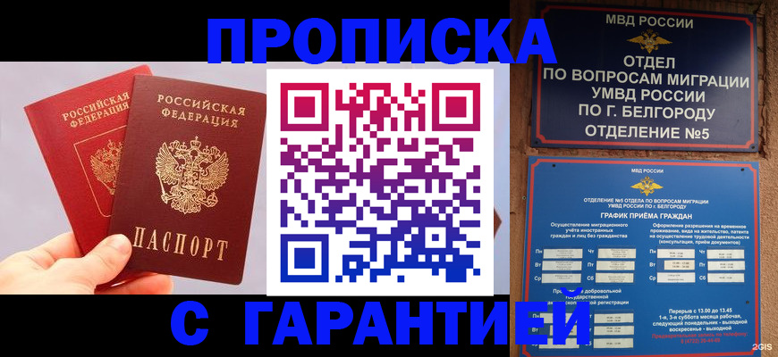 прописка 2025 в Кашире